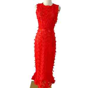 Cynthia Rowley3D Embroidered Tulle Dress